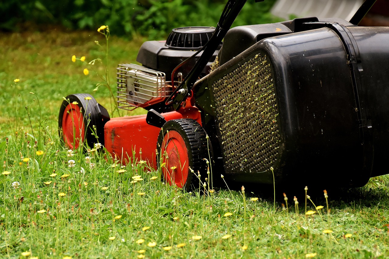 lawn mower, mow, cut the lawn, green, meadow, gardening, grassy area, to cut, cut grass, nature, grass, garden, blades of grass, lawn mower, lawn mower, lawn mower, lawn mower, lawn mower