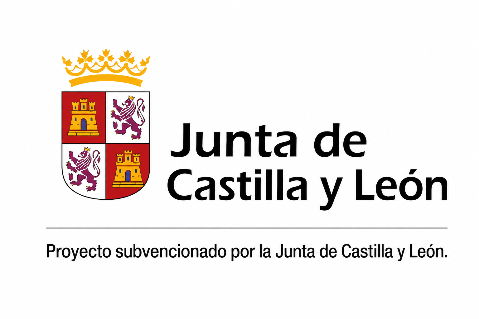 Subvencionado por la Junta de Castilla y León